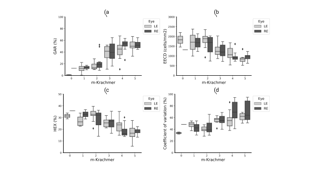 Segmentation results. The proposed method defines better the intercellular boundary of the segmentation, despite some problems due to non-uniform illuminated areas.